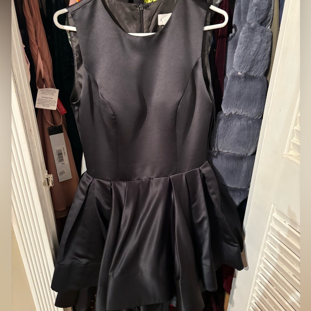 Ashley Lauren dress size 8